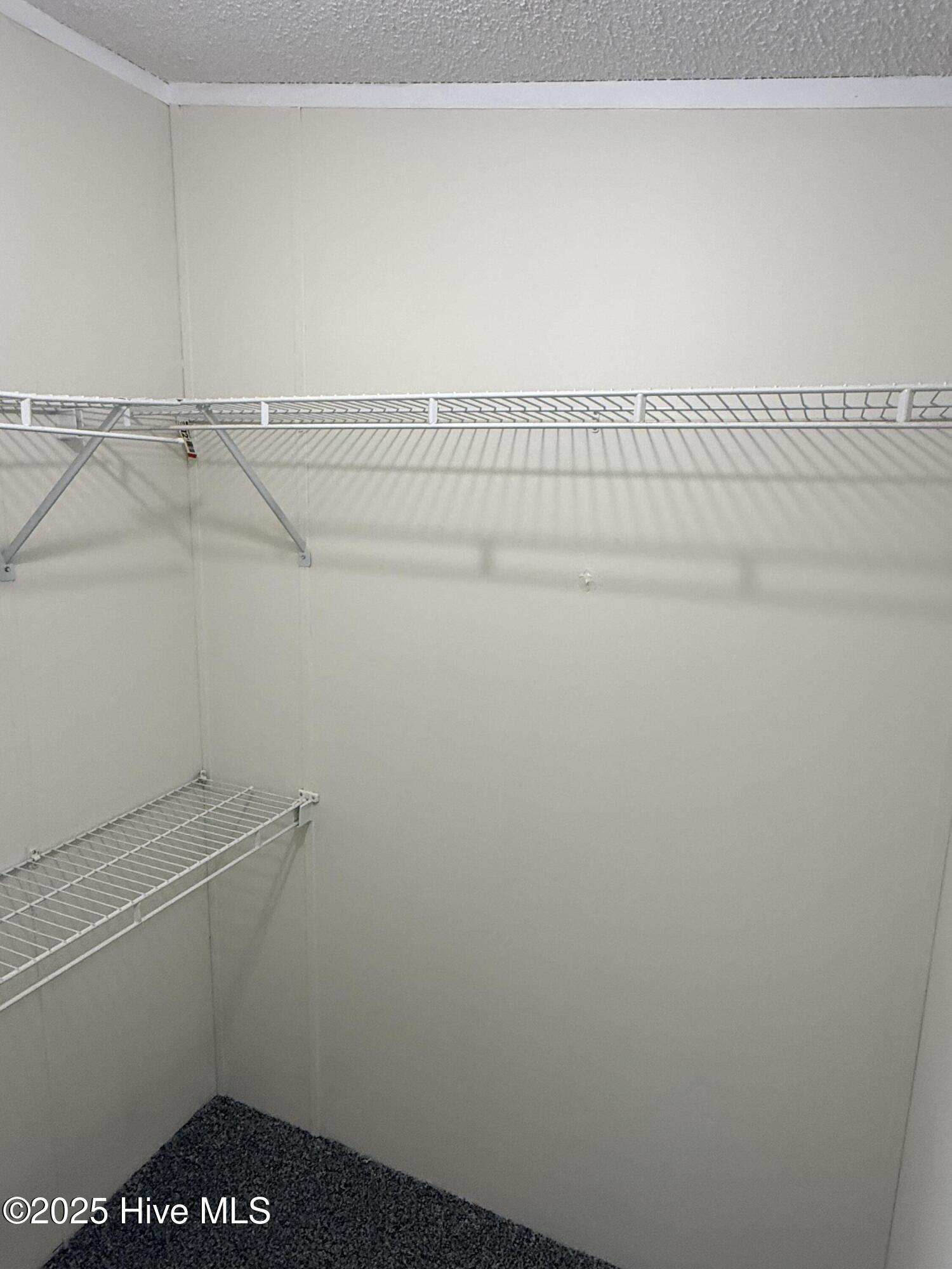 325 Wises Store Road Murfreesboro, NC 27855 - Photo 16 of 60 Bedroom 1 Closet