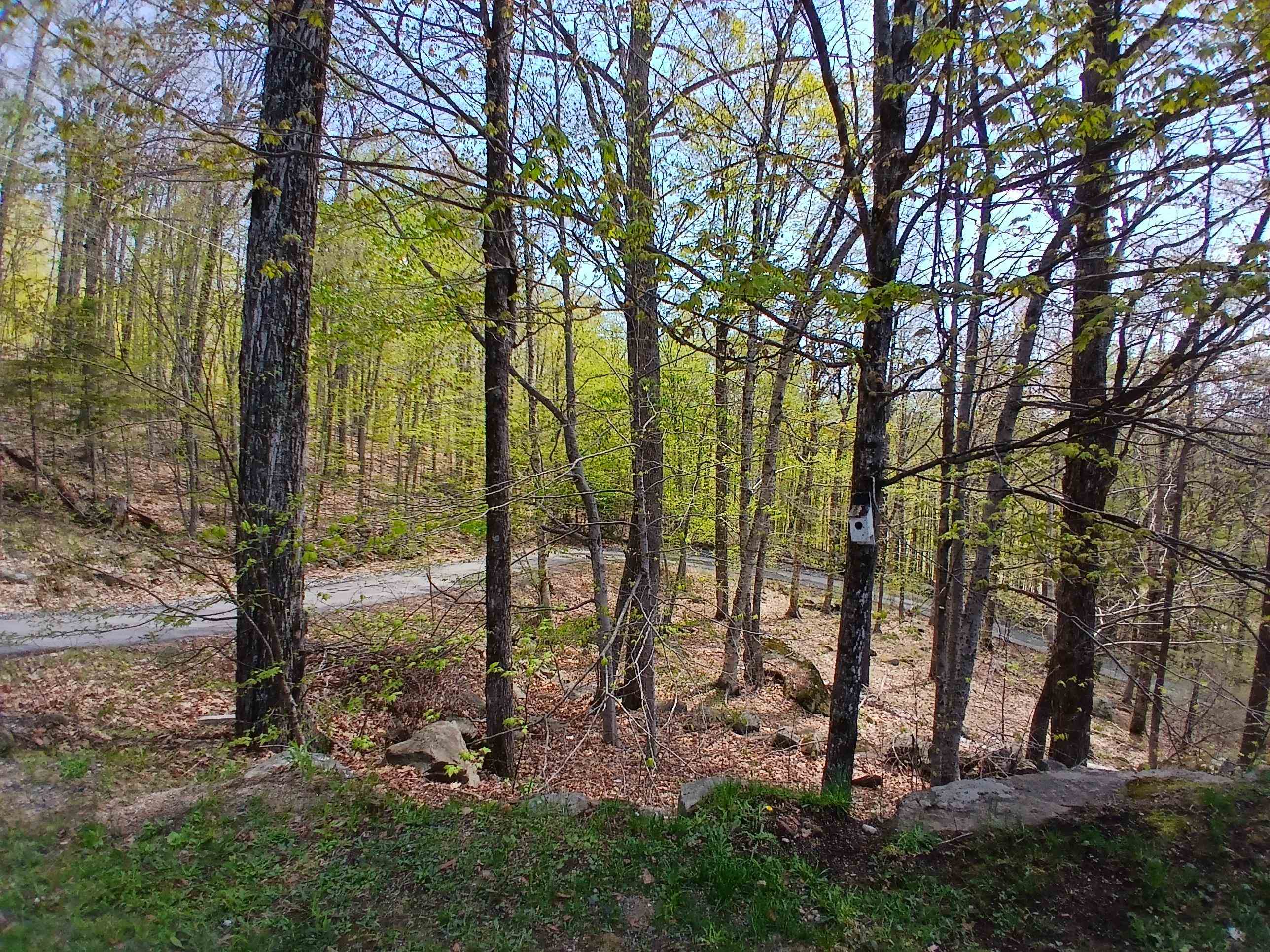 224 Walker Road Grantham, NH 03753 - Photo 10 of 53