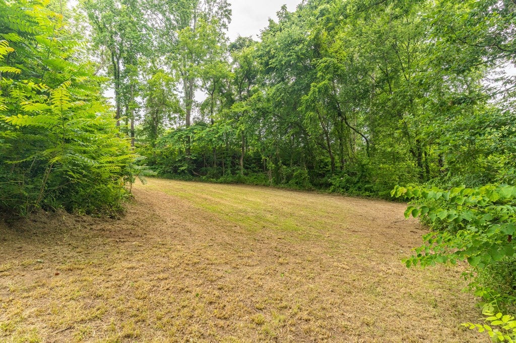 45 Peaks Road Prospect, VA 23960 - Photo 39 of 40 Gallery Image 39