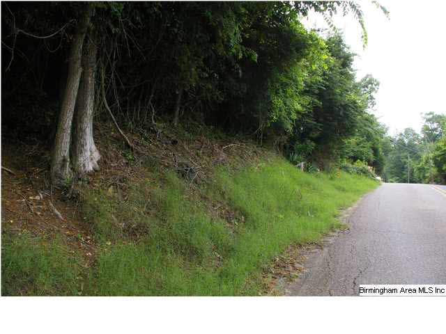 5740 Red Hollow Road Birmingham, AL 35215 - Photo 10 of 10