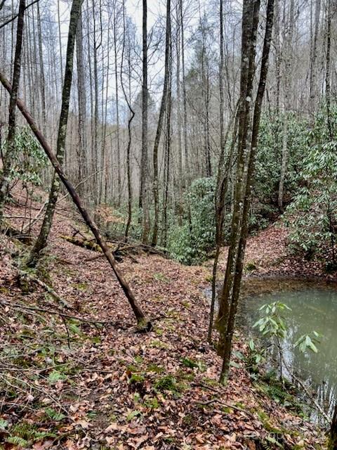 V/l Sampson Road Lenoir, NC 28645 - Photo 11 of 19 Gallery Image 11