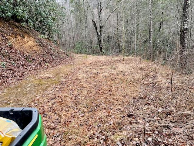 V/l Sampson Road Lenoir, NC 28645 - Photo 18 of 19 Gallery Image 18