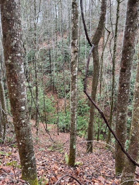 V/l Sampson Road Lenoir, NC 28645 - Photo 19 of 19 Gallery Image 19