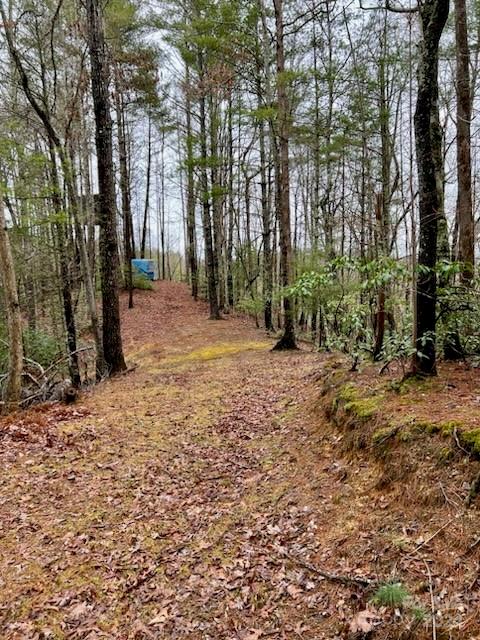 V/l Sampson Road Lenoir, NC 28645 - Photo 8 of 19 Gallery Image 8