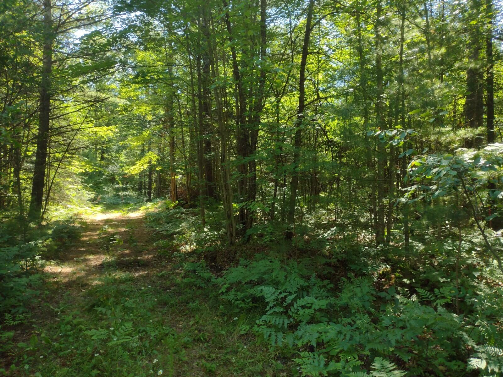 52 North Mt Tom Road Mio, MI 48647 - Photo 10 of 17 Gallery Image 10