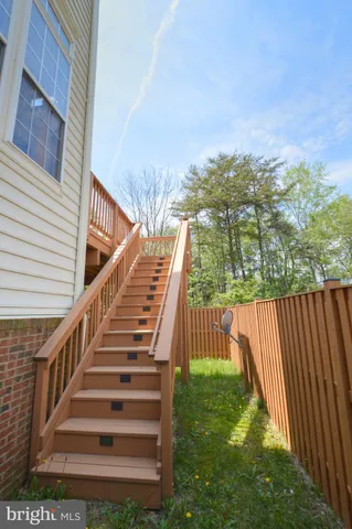 a view of a lush green forest