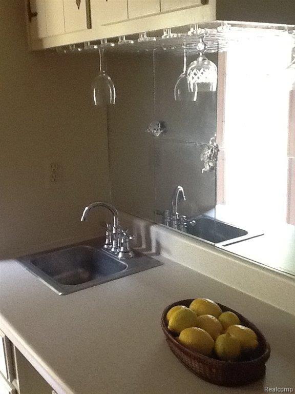 9373 Mabley Hill Road Fenton, MI 48430 - Photo 15 of 24 Wet bar 2.JPG