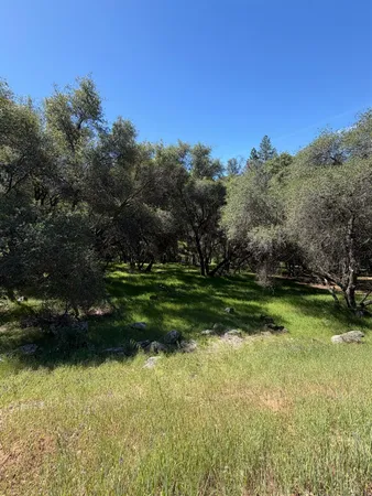 a view of a golf course with a lake