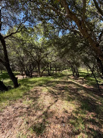 a view of outdoor space with trees all around