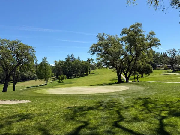 a view of a trees with a yard