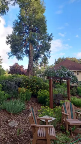 $825,000 | 15579 Jesus Maria Road, Mokelumne Hill, CA 95245