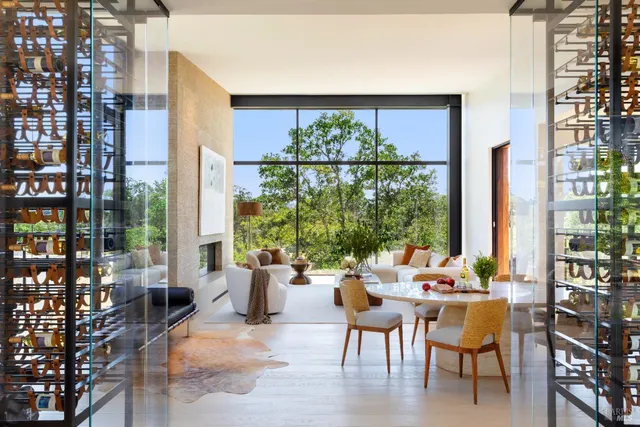 a living room with couches and a potted plant