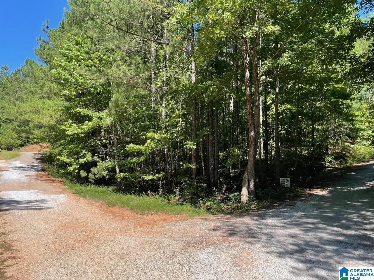 9901 County Road, Unit 23 24 25 26 27 Wedowee, AL 36278 - Photo 1 of 4