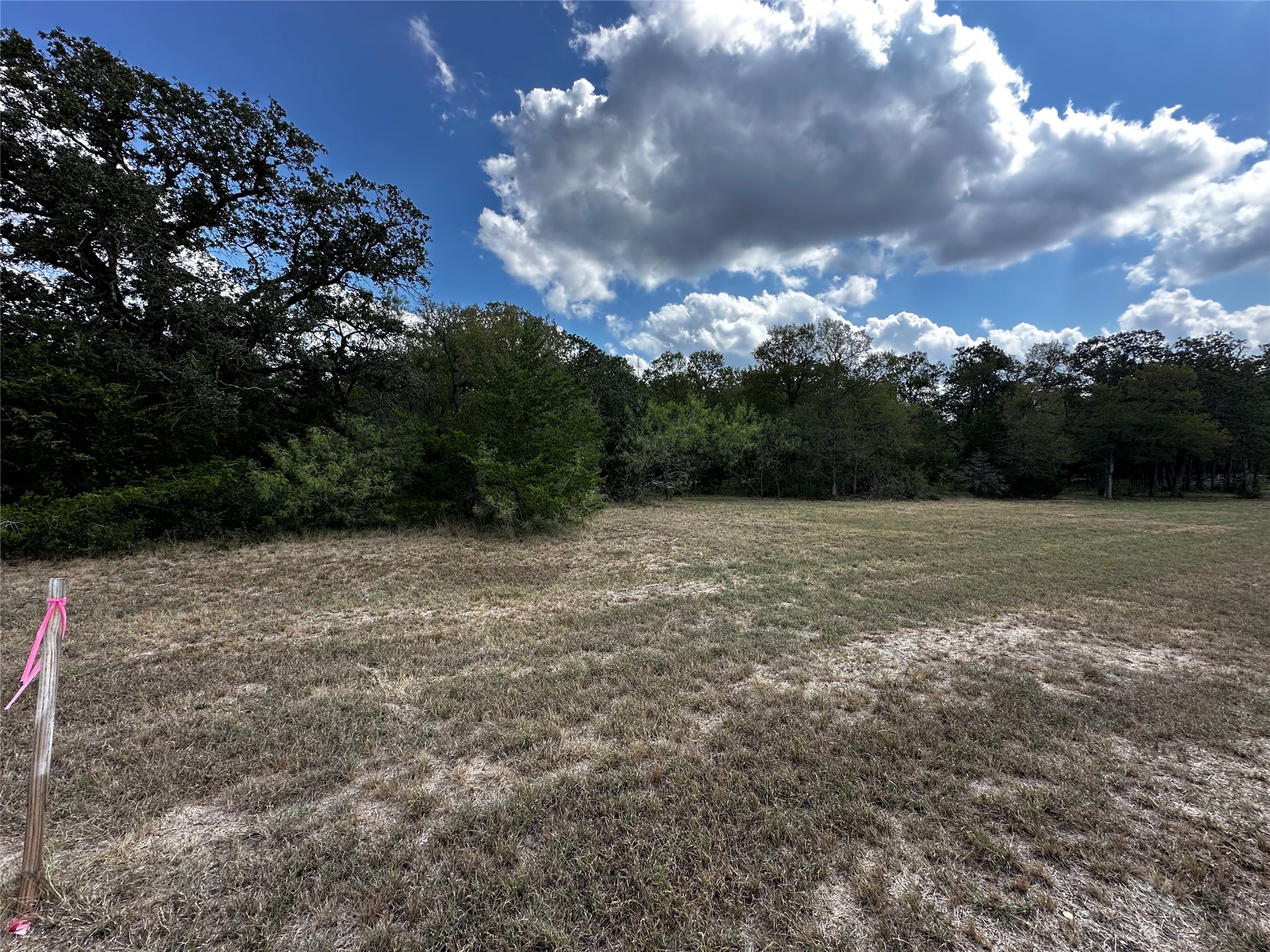 1575 Old Colony Line Road Dale, TX 78616 - Photo 4 of 7