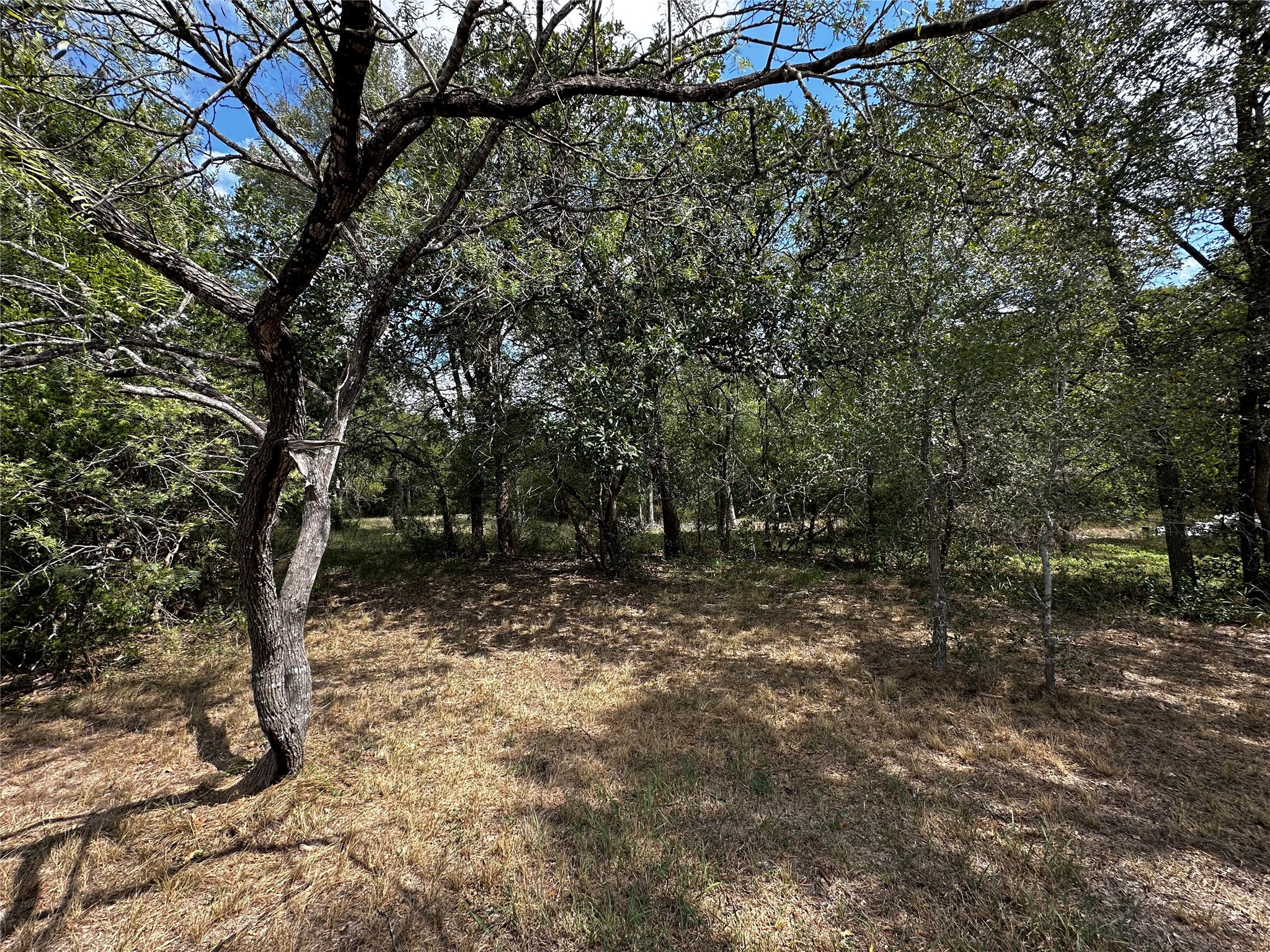 1575 Old Colony Line Road Dale, TX 78616 - Photo 6 of 7