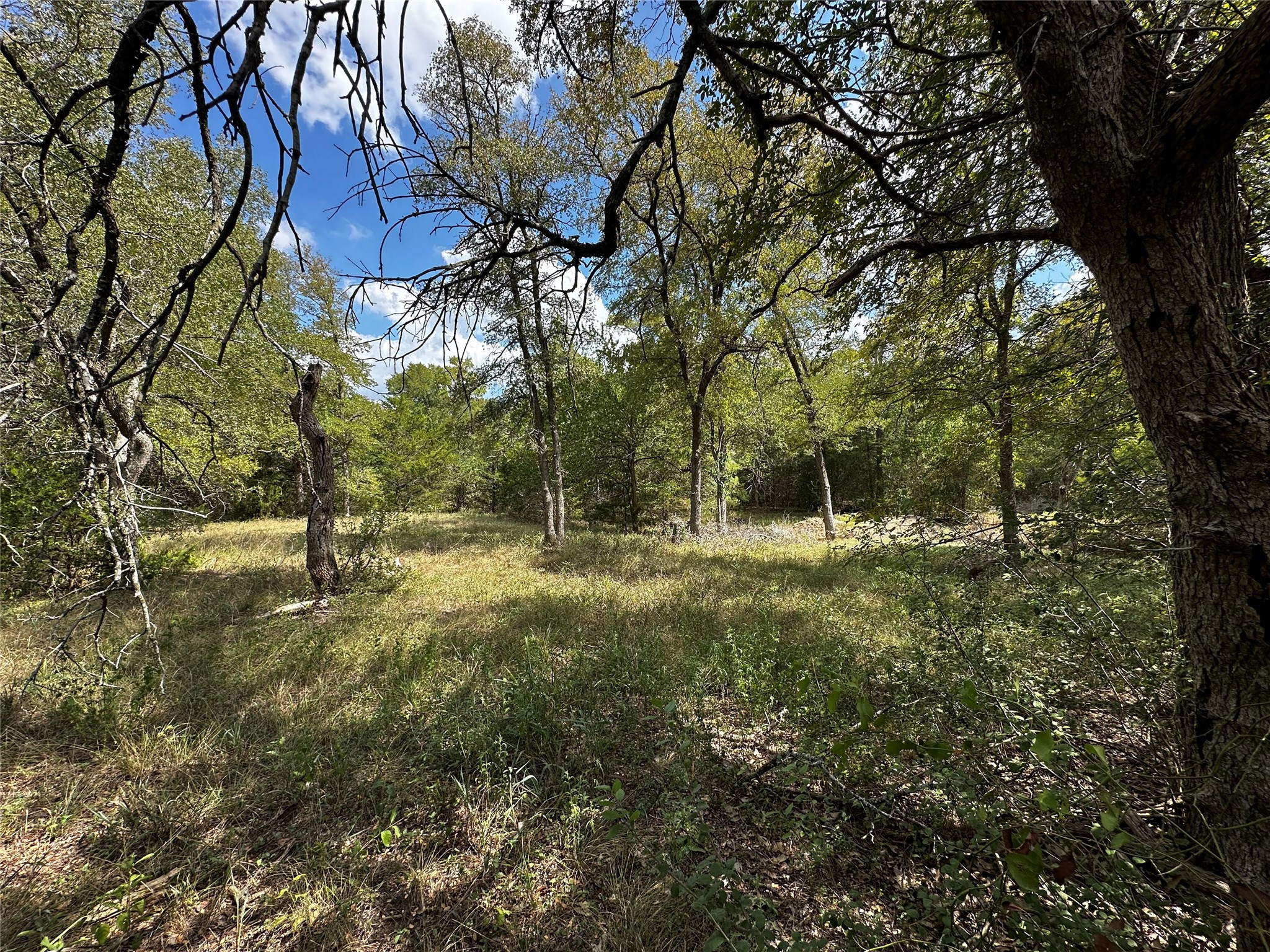 1575 Old Colony Line Road Dale, TX 78616 - Photo 7 of 7