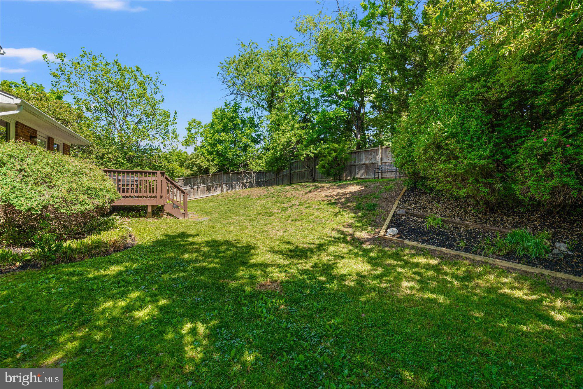 2317 Ross Road Silver Spring, MD 20910 - Photo 23 of 28 Backyard