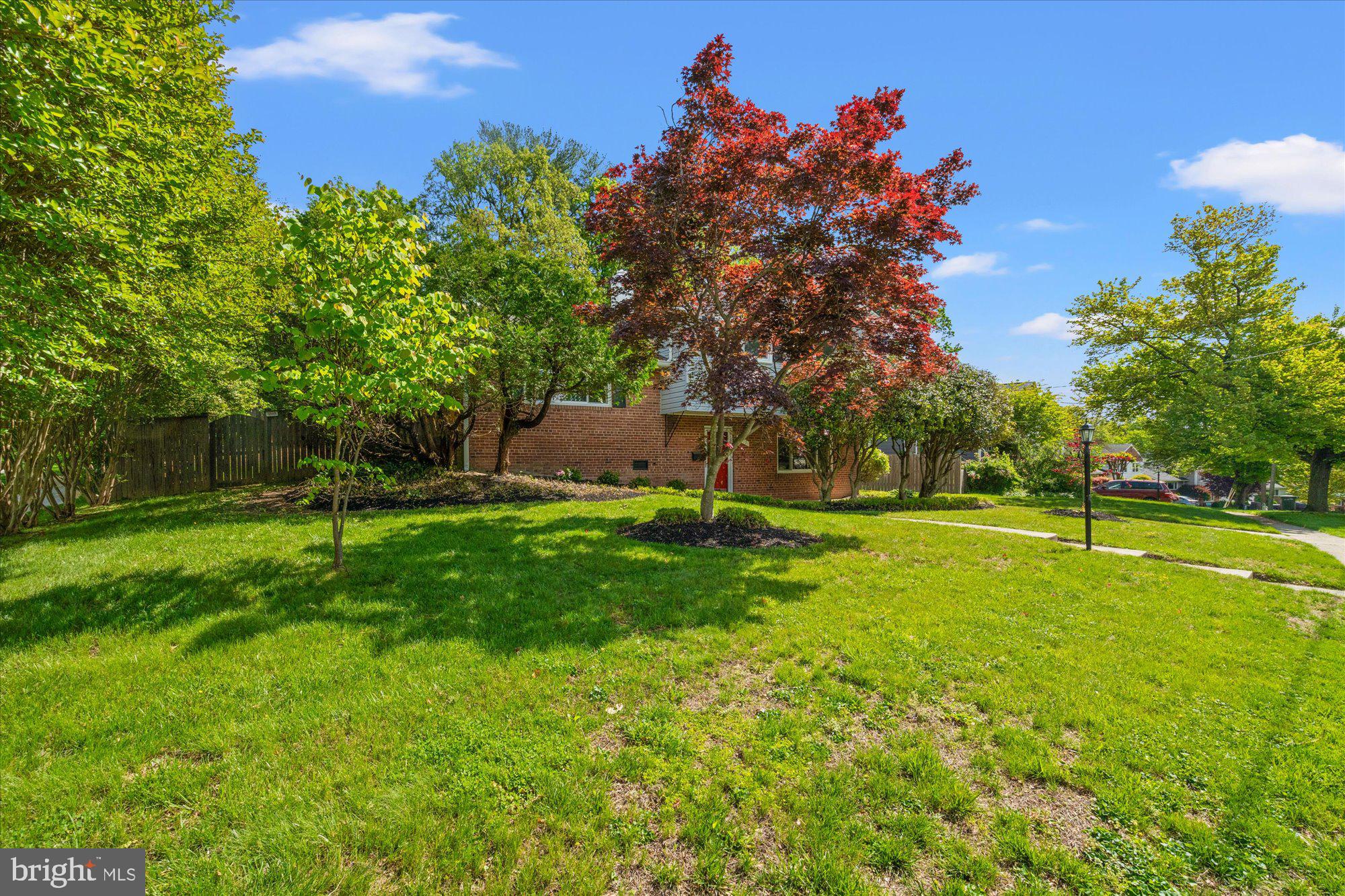 2317 Ross Road Silver Spring, MD 20910 - Photo 25 of 28 Mature plantings in front yard