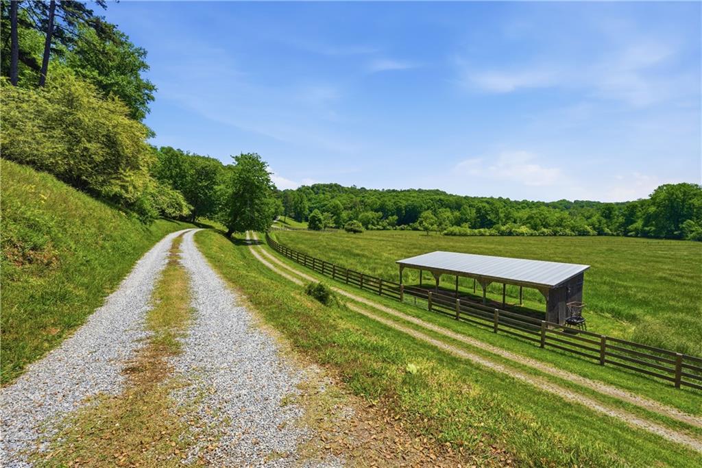 619 Hamp Mill Road Dahlonega, GA 30533 - Photo 92 of 118