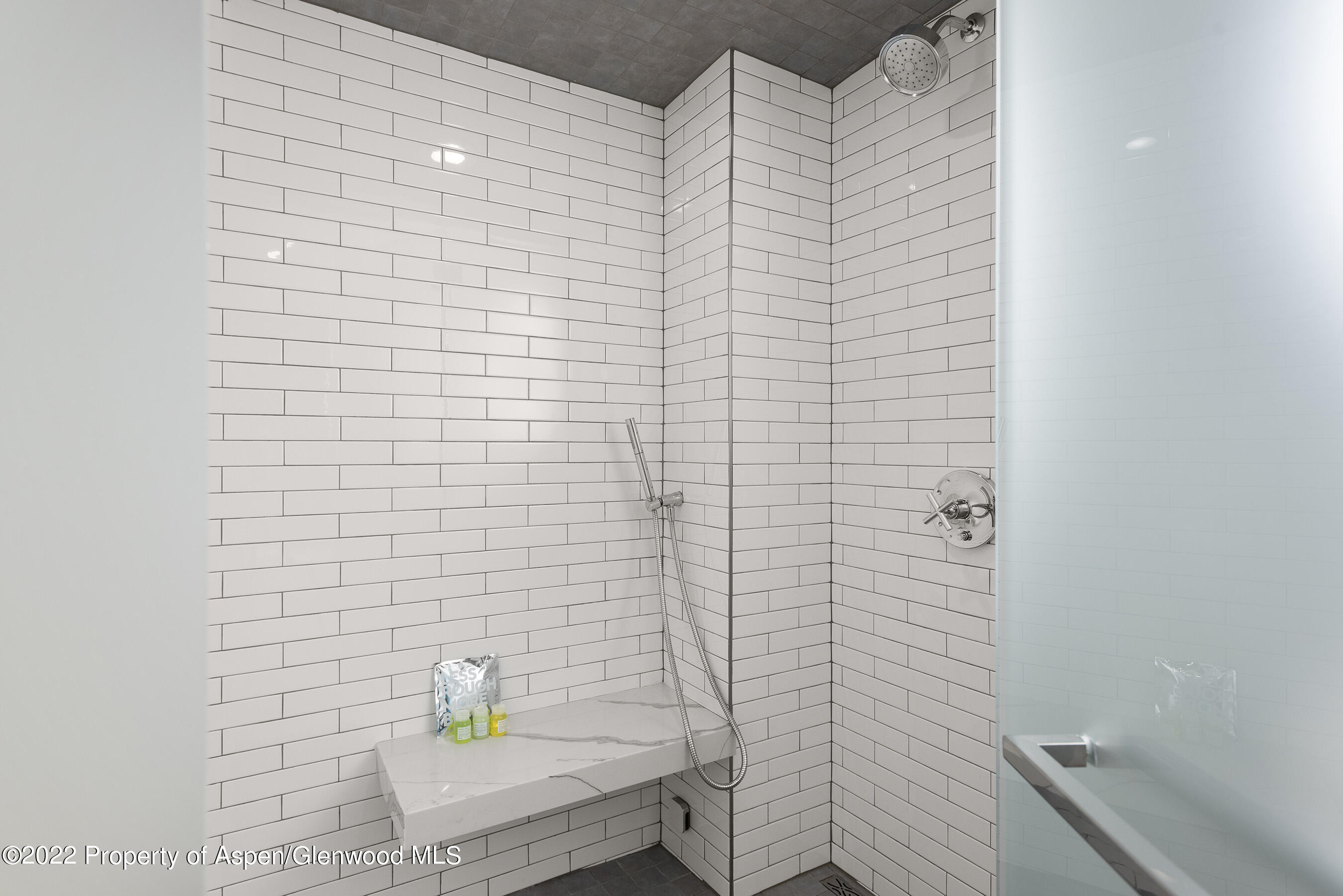 550 South Spring Street, Unit 392 Aspen, CO 81611 - Photo 15 of 41 a bathroom with a shower