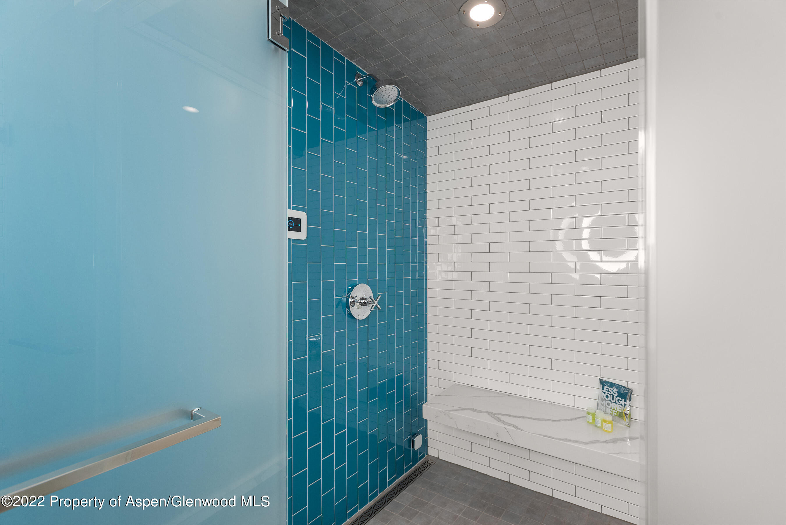 550 South Spring Street, Unit 392 Aspen, CO 81611 - Photo 19 of 41 a bathroom with a shower