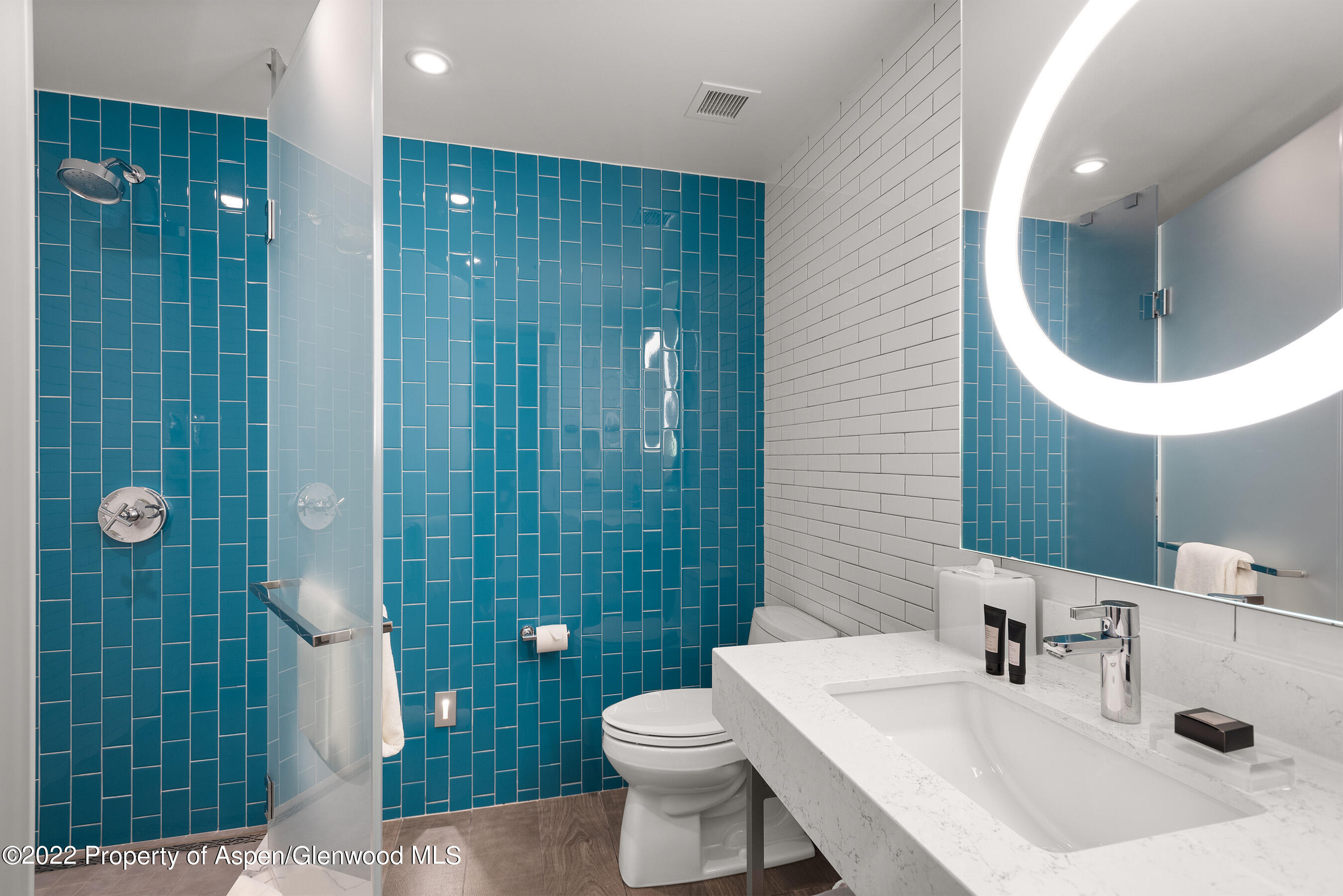 550 South Spring Street, Unit 392 Aspen, CO 81611 - Photo 21 of 41 a bathroom with a sink a toilet and shower