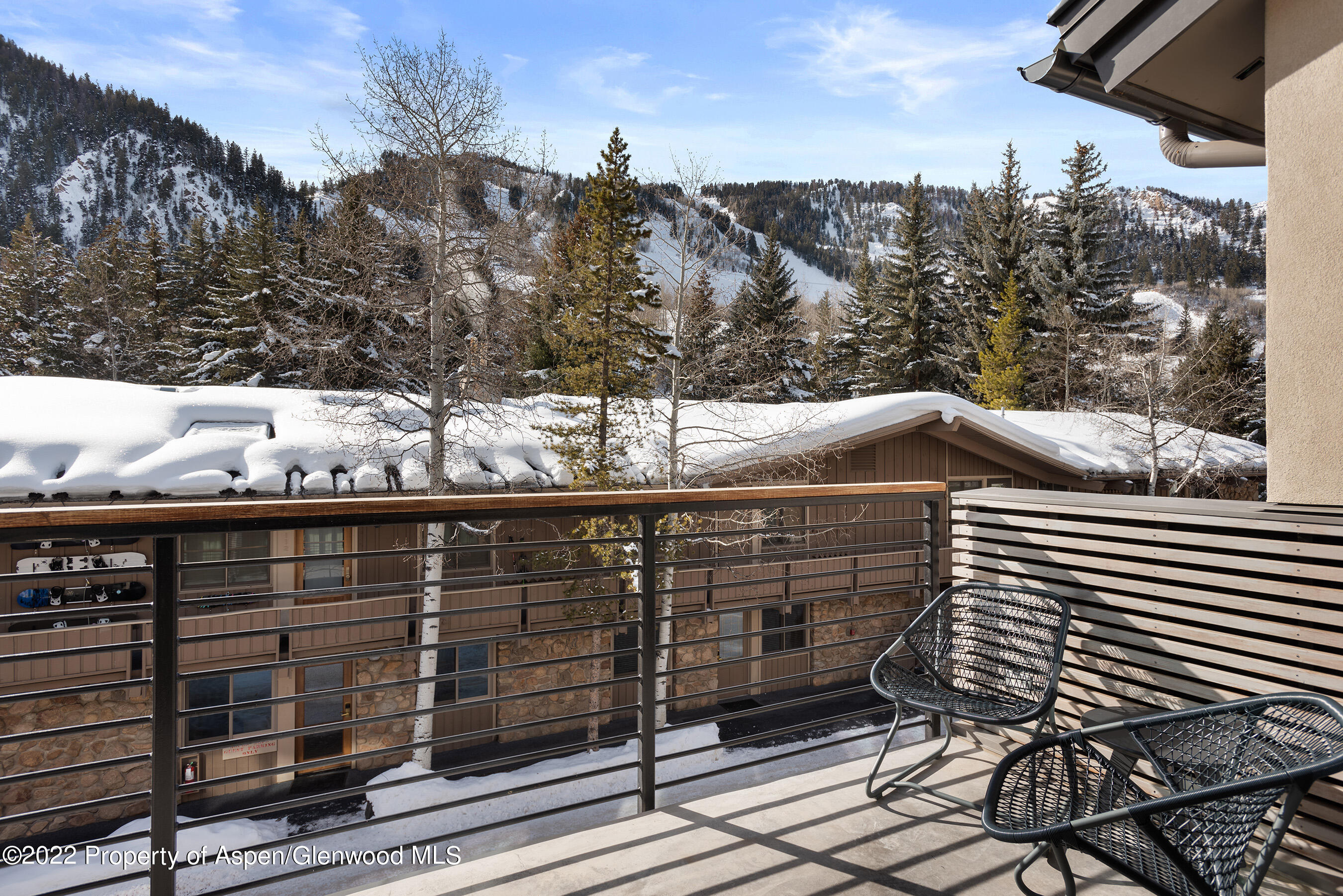 550 South Spring Street, Unit 392 Aspen, CO 81611 - Photo 24 of 41 a terrace of a house with outdoor seating
