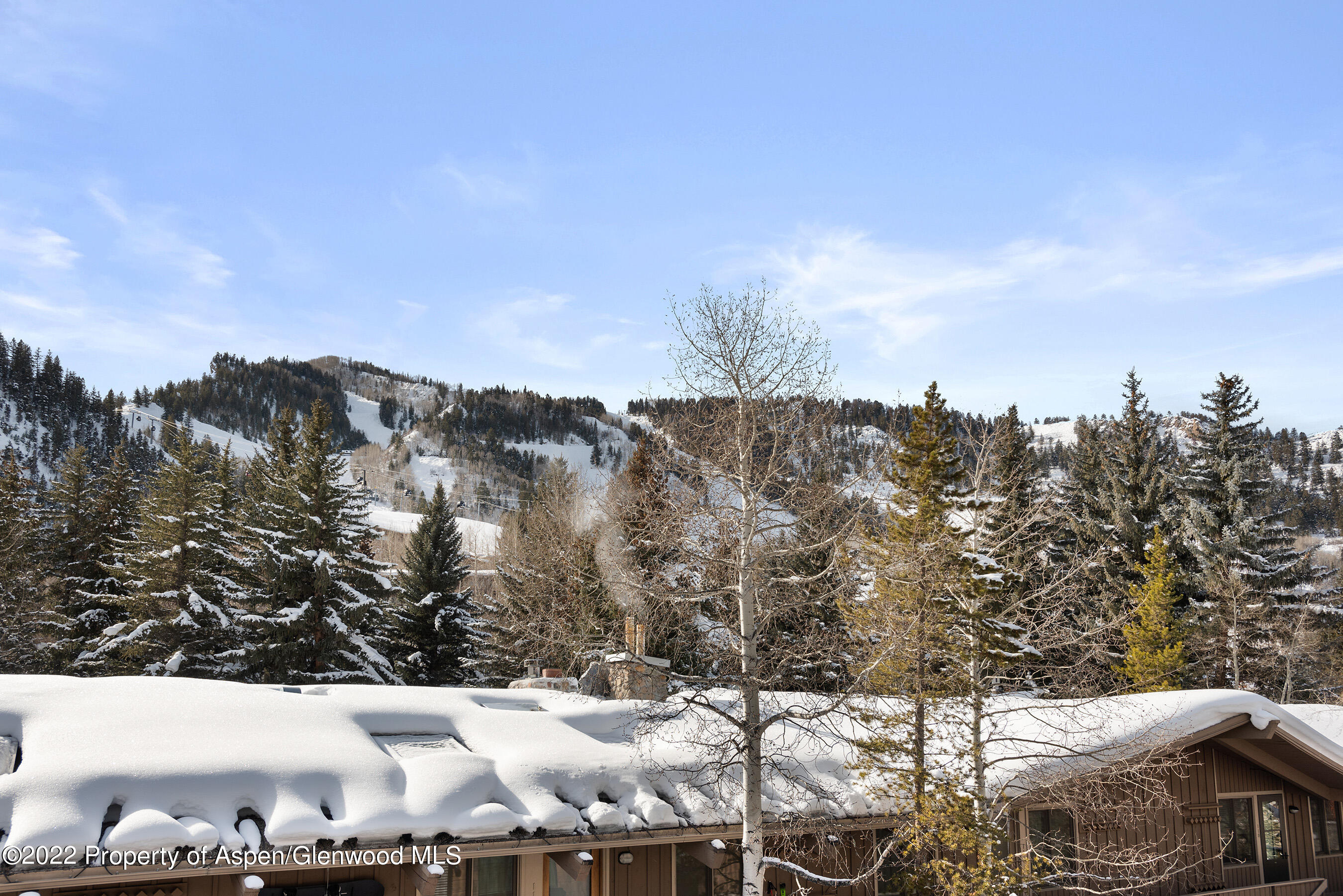 550 South Spring Street, Unit 392 Aspen, CO 81611 - Photo 28 of 41