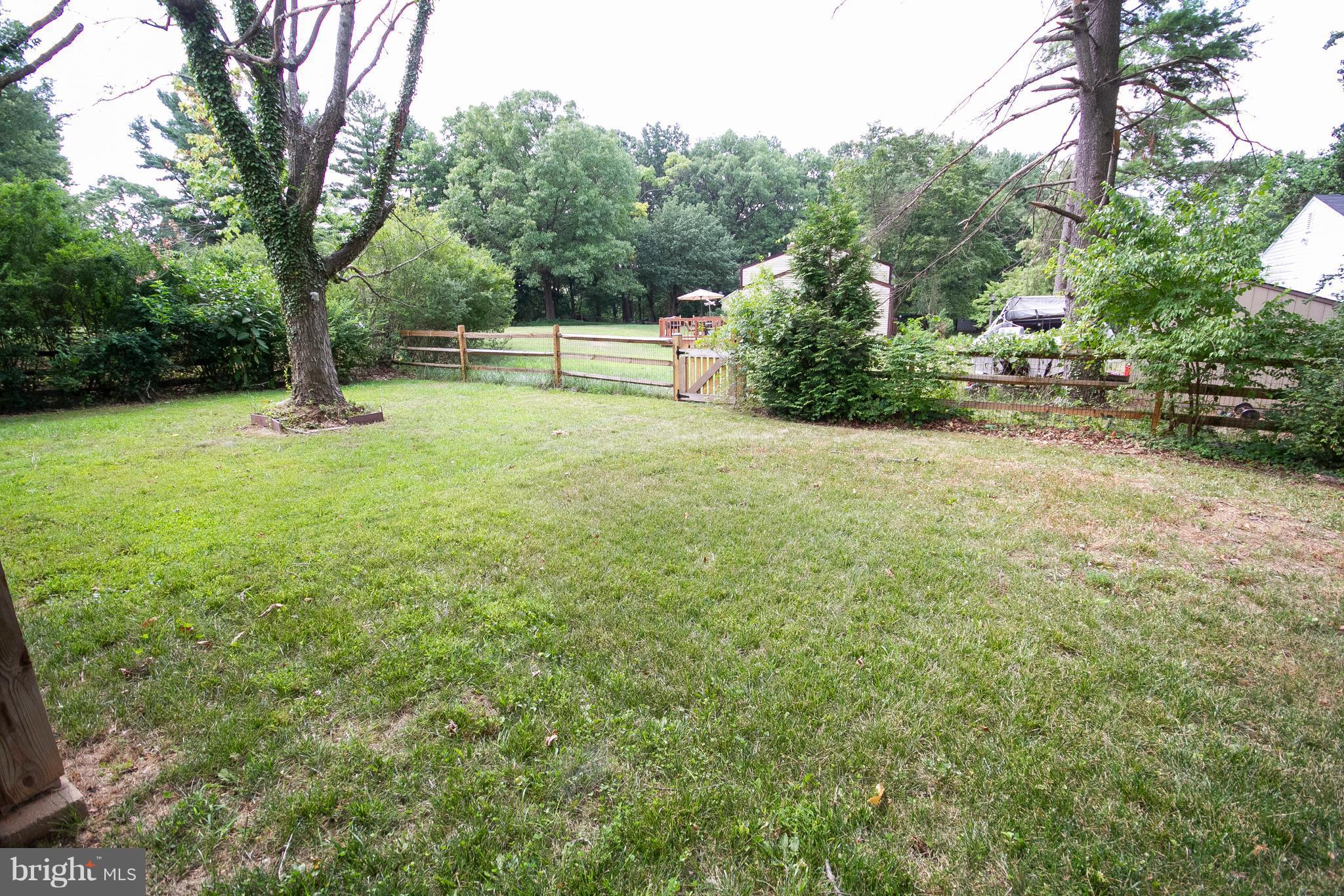 7203 Pinecrest Road Baltimore, MD 21228 - Photo 4 of 30 a view of a field with plants and trees