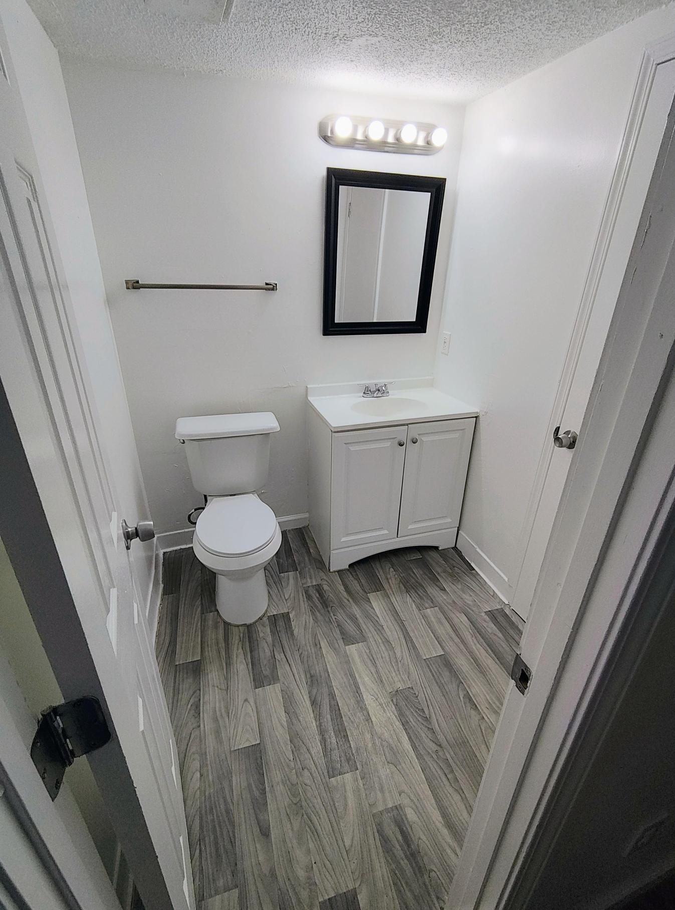 6439 Kirby Trees Drive, Unit 6439 Memphis, TN 38115 - Photo 16 of 17 a bathroom with a toilet sink and mirror