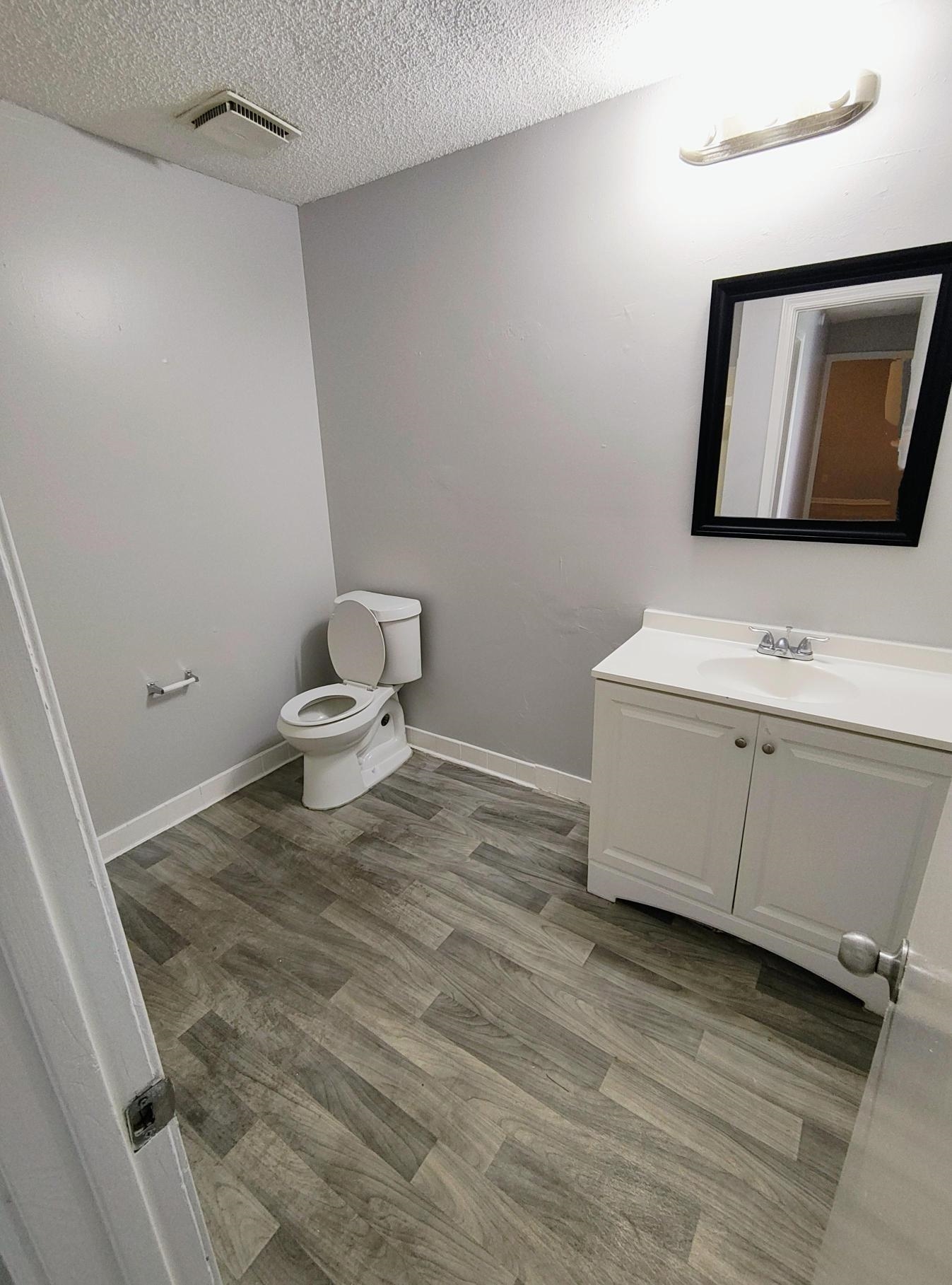 6439 Kirby Trees Drive, Unit 6439 Memphis, TN 38115 - Photo 17 of 17 a bathroom with a toilet sink and mirror