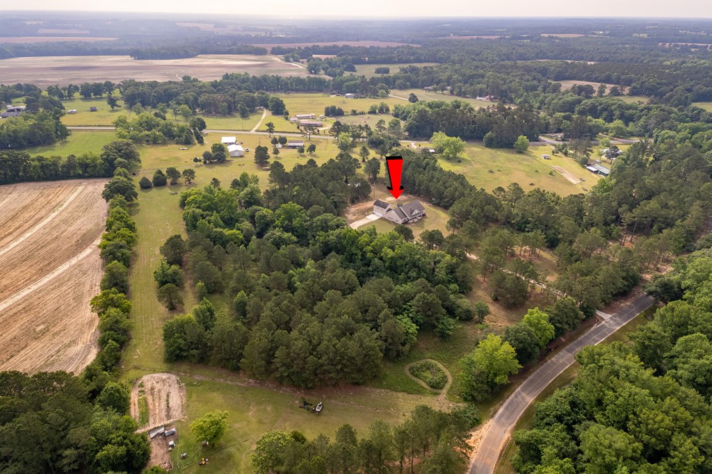 240 Cedar Springs Road Ashford, AL 36312 - Photo 5 of 71