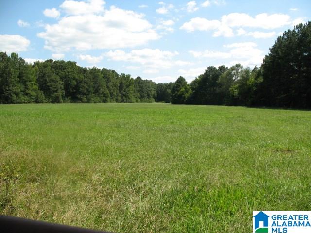 1950 Steele Station, Unit 59 AC Steele, AL 35987 - Photo 11 of 12