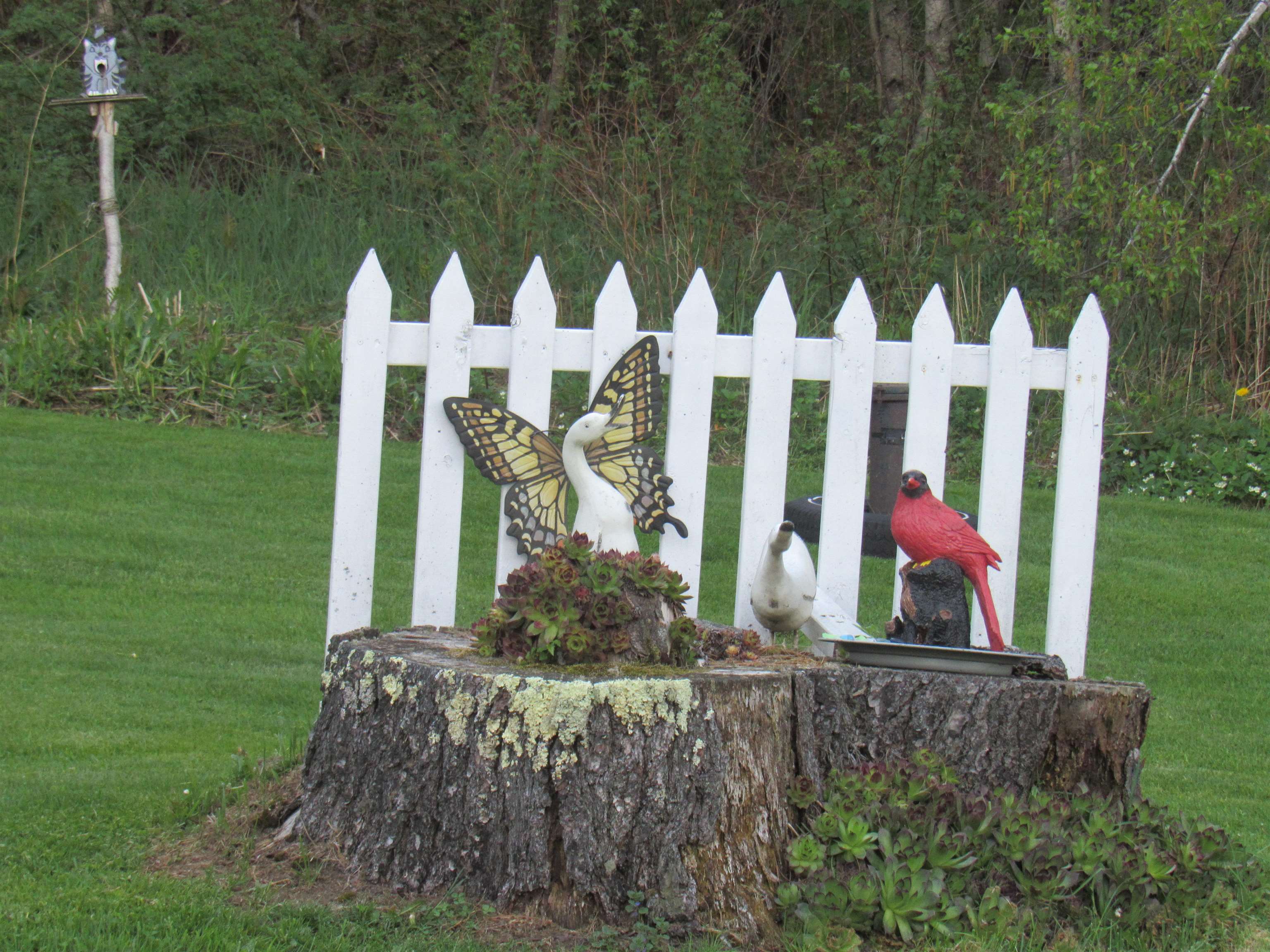 1901 Cross Road Jay, VT 05859 - Photo 14 of 53