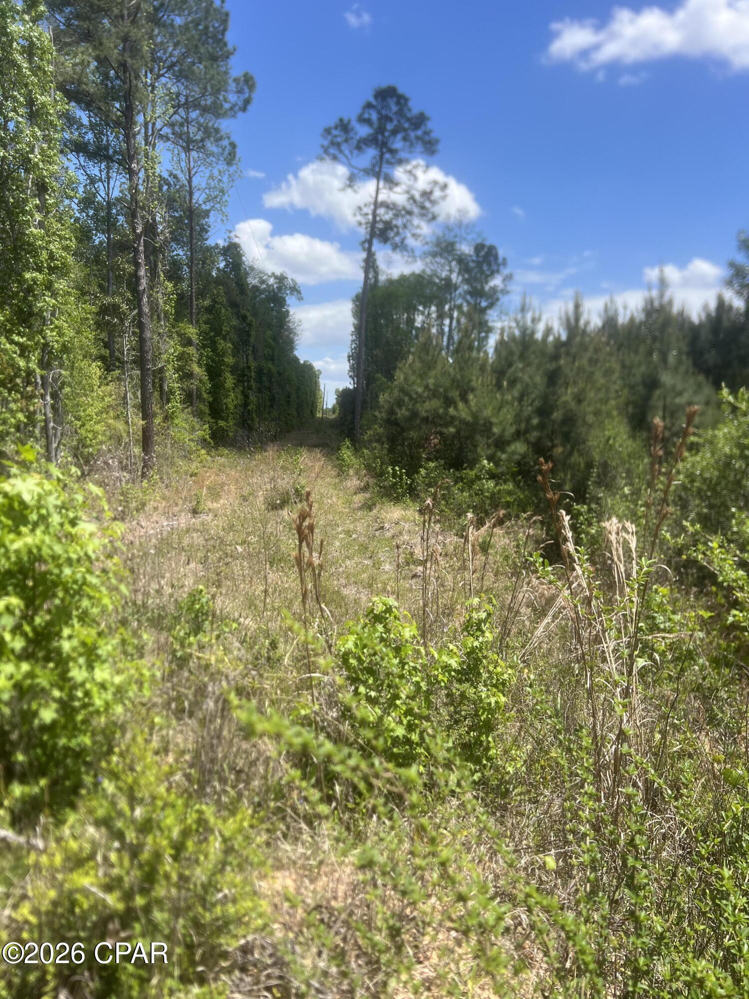 0 Goodman Hill Road Chipley, FL 32428 - Photo 4 of 9