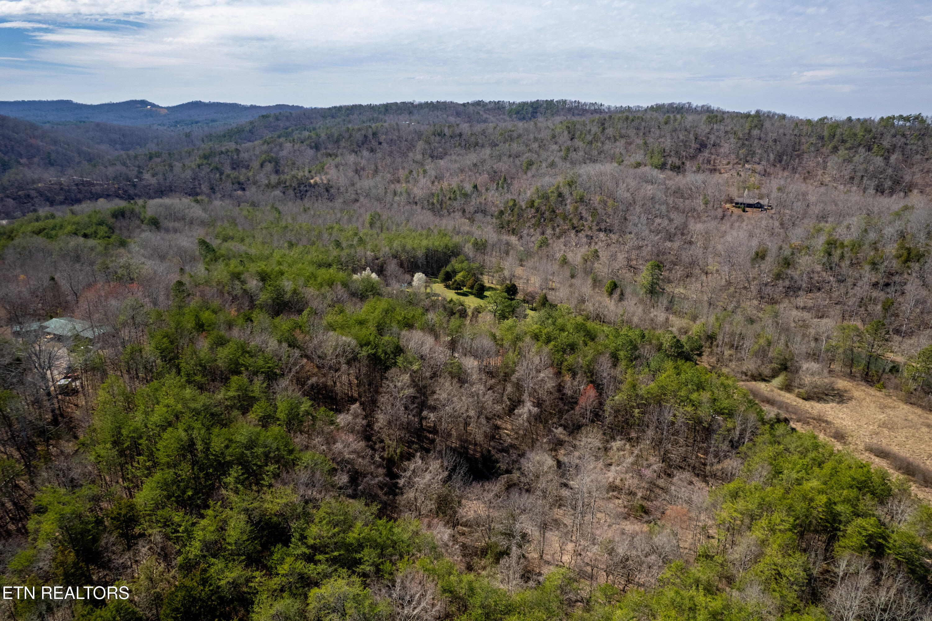 Welch Road Tellico Plains, TN 37385 - Photo 10 of 12 WelchRd,TellicoPlains-15