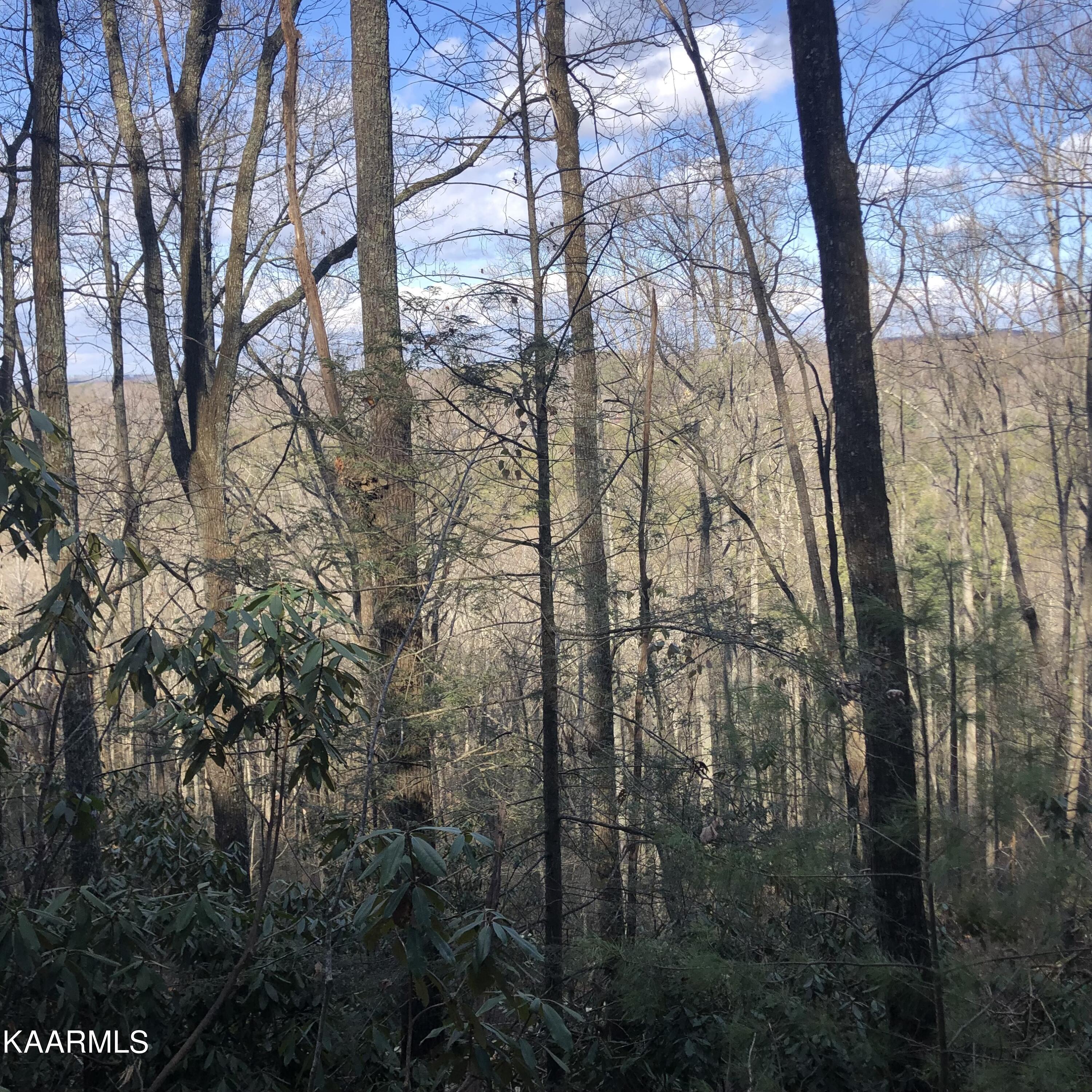 450 Holder Cemetery Road Tellico Plains, TN 37385 - Photo 1 of 12 IMG-3657