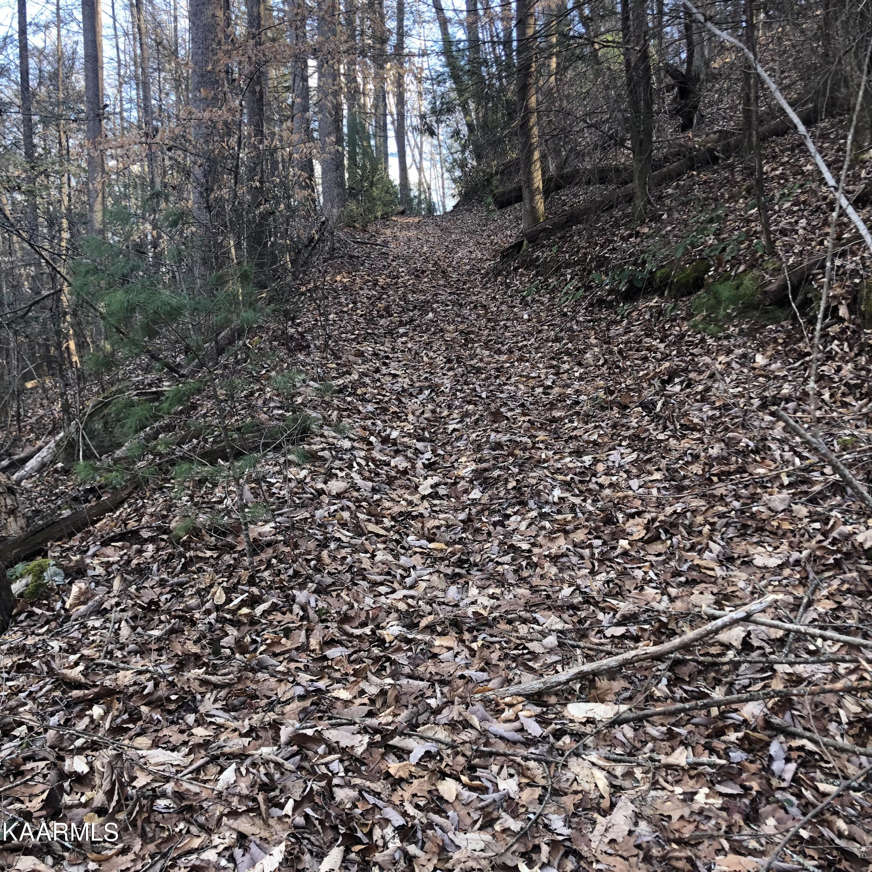 450 Holder Cemetery Road Tellico Plains, TN 37385 - Photo 12 of 12 IMG-3647