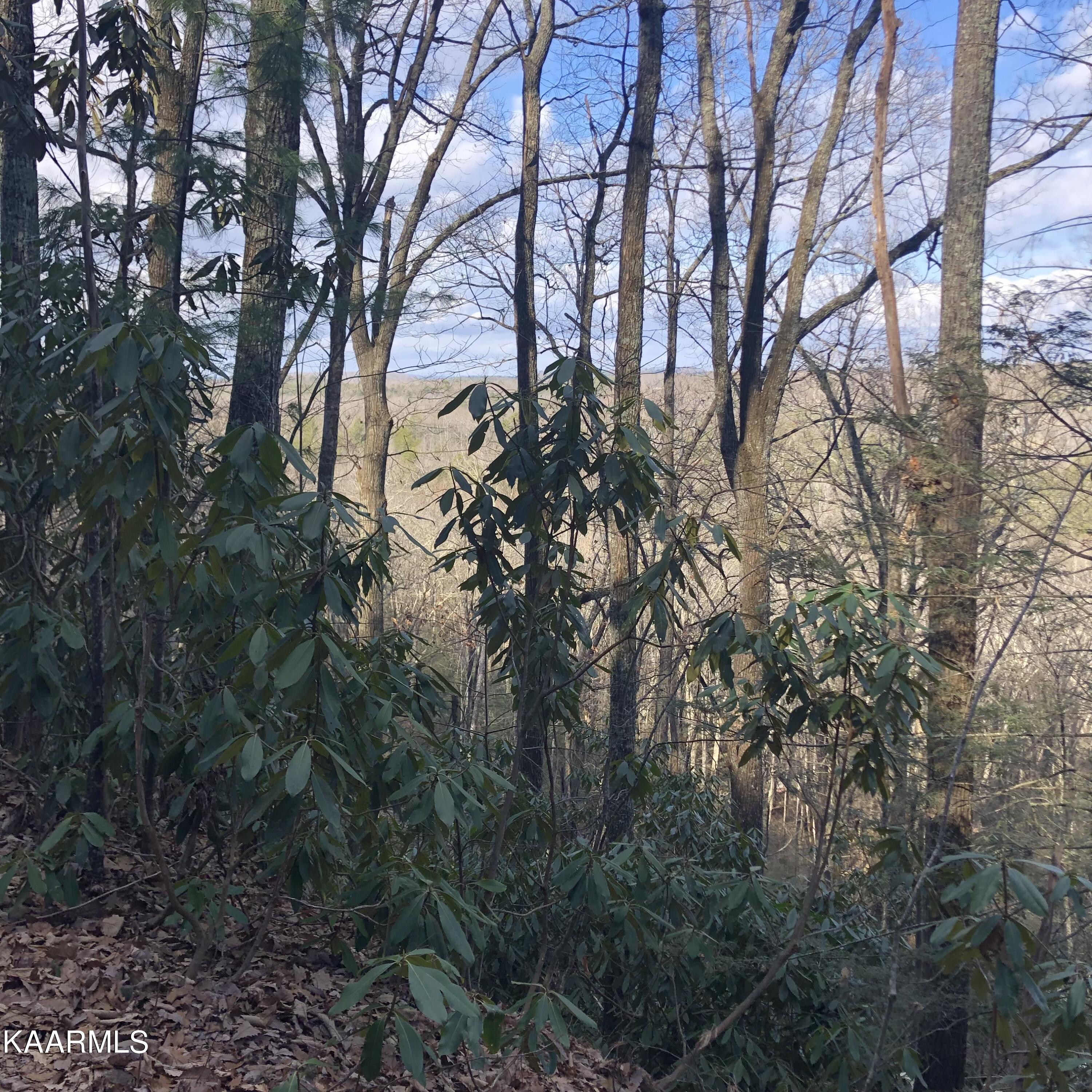 450 Holder Cemetery Road Tellico Plains, TN 37385 - Photo 5 of 12 IMG-3656