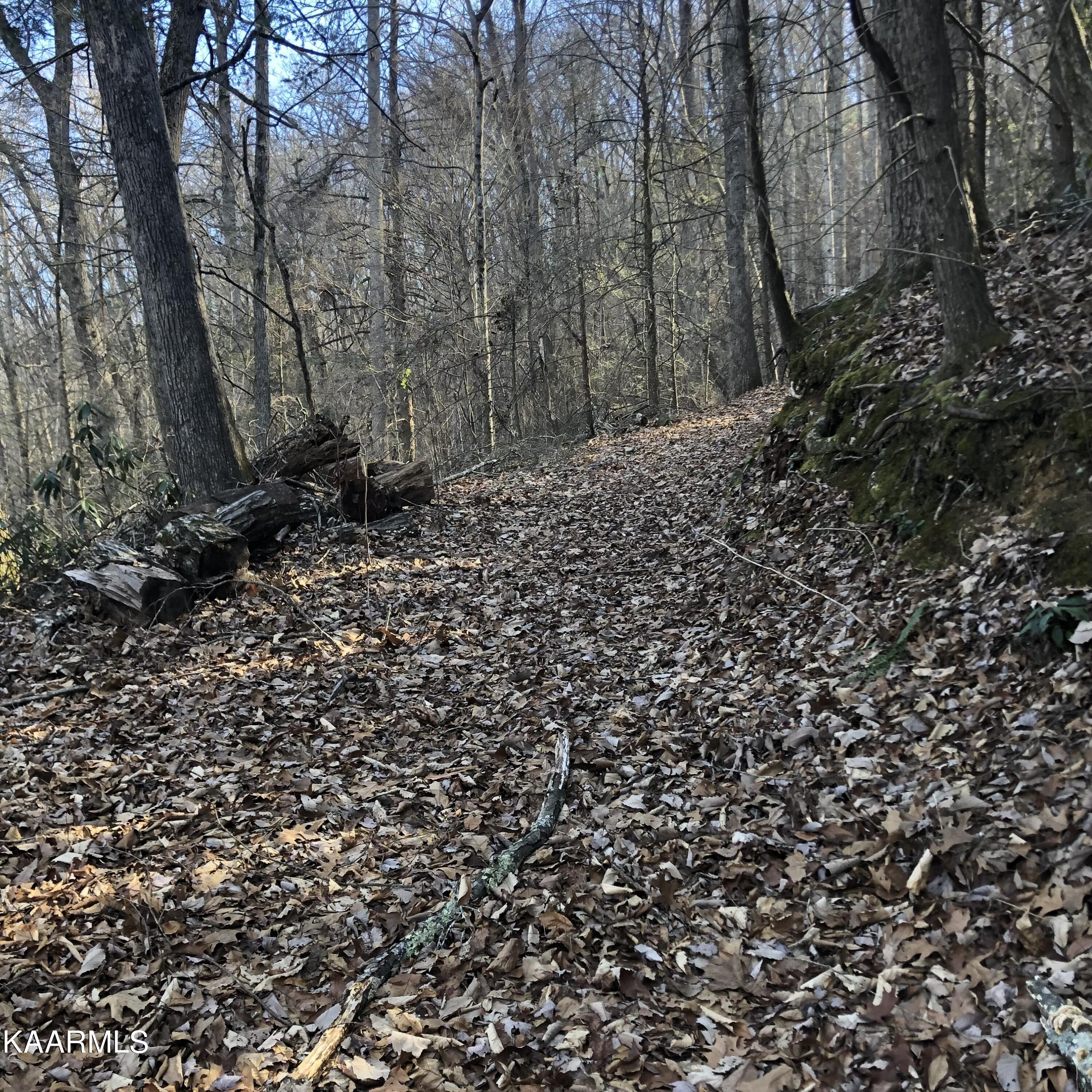 450 Holder Cemetery Road Tellico Plains, TN 37385 - Photo 8 of 12 IMG-3650