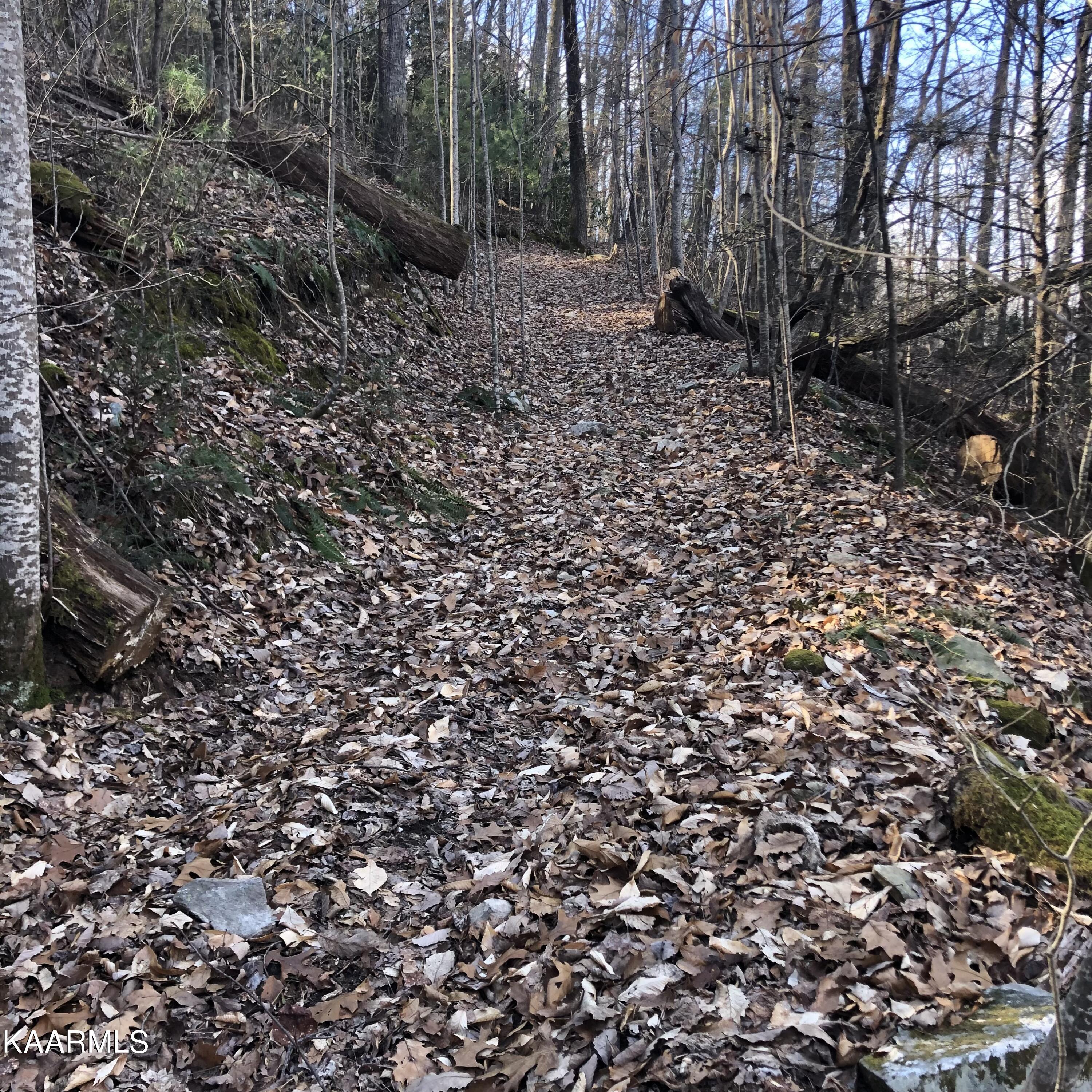 450 Holder Cemetery Road Tellico Plains, TN 37385 - Photo 9 of 12 IMG-3653