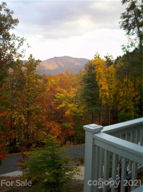 25 Hope View Road Swannanoa, NC 28778 - Photo 5 of 48 Gallery Image 5
