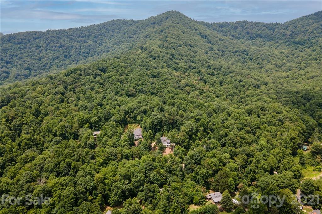 25 Hope View Road Swannanoa, NC 28778 - Photo 43 of 48 Gallery Image 43