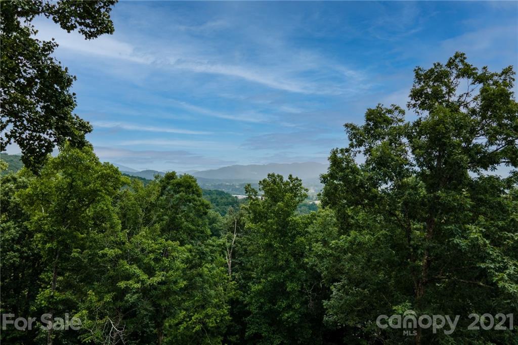 25 Hope View Road Swannanoa, NC 28778 - Photo 46 of 48 Gallery Image 46