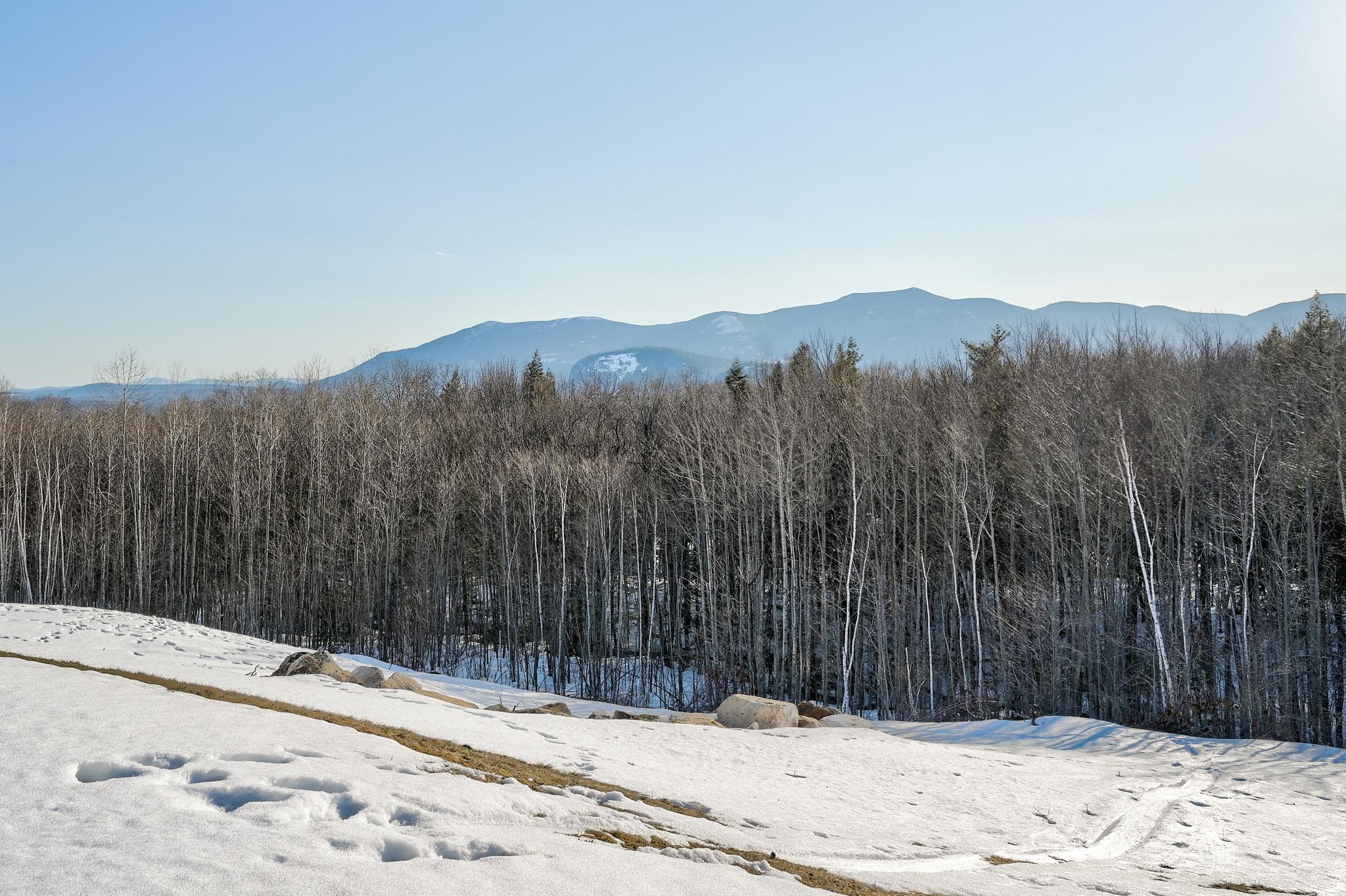 45 Eagle Ridge Intervale, NH 03845 - Photo 29 of 29