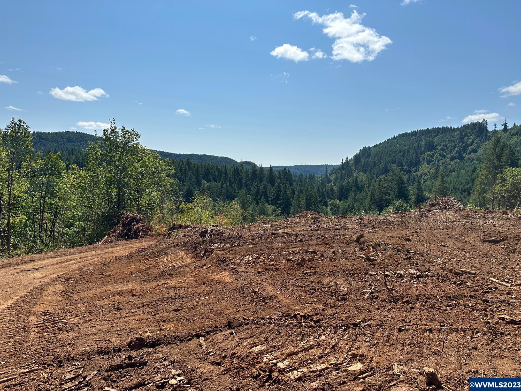 526258 Southwest Pumpkinseed Road Willamina, OR 97396 - Photo 8 of 24
