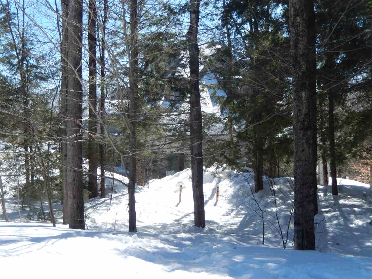 6 Ledgewood Road, Unit A2 Ludlow, VT 05149 - Photo 29 of 40 Gallery Image 29