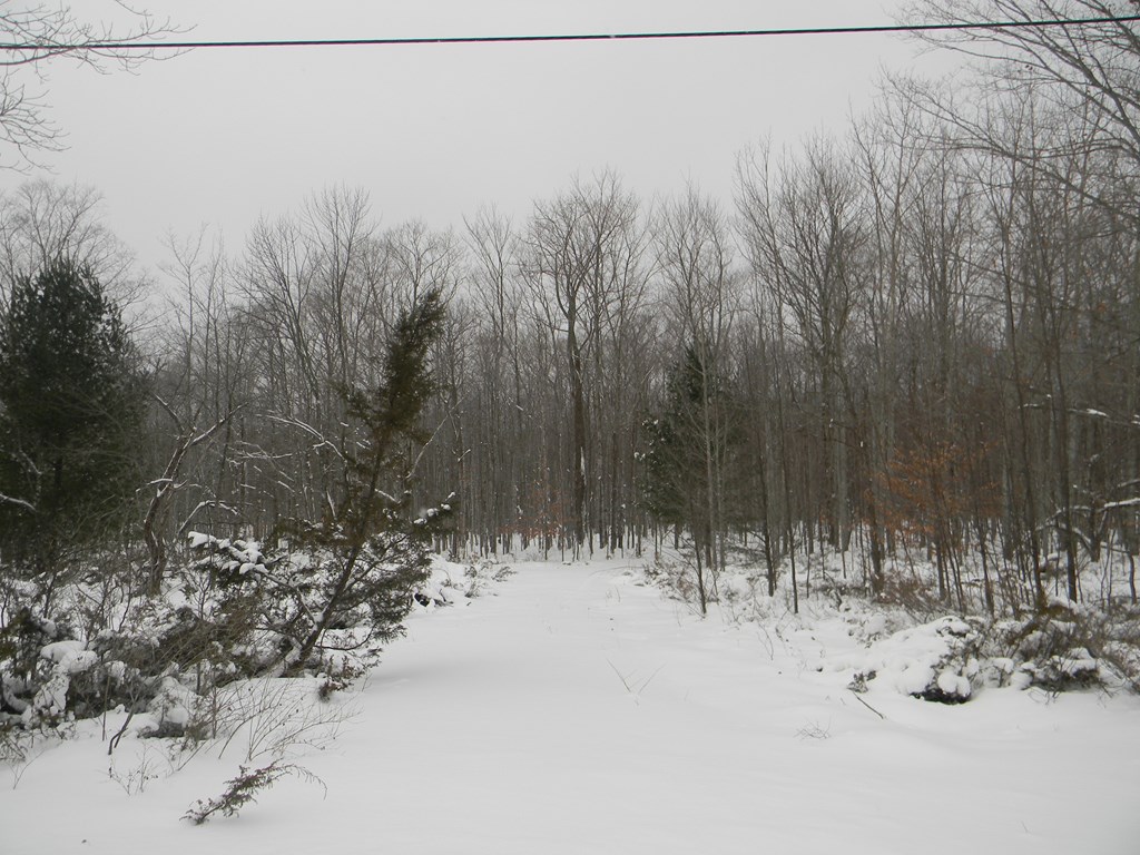 Maple Grove Road Fish Creek, WI 54212 - Photo 4 of 14