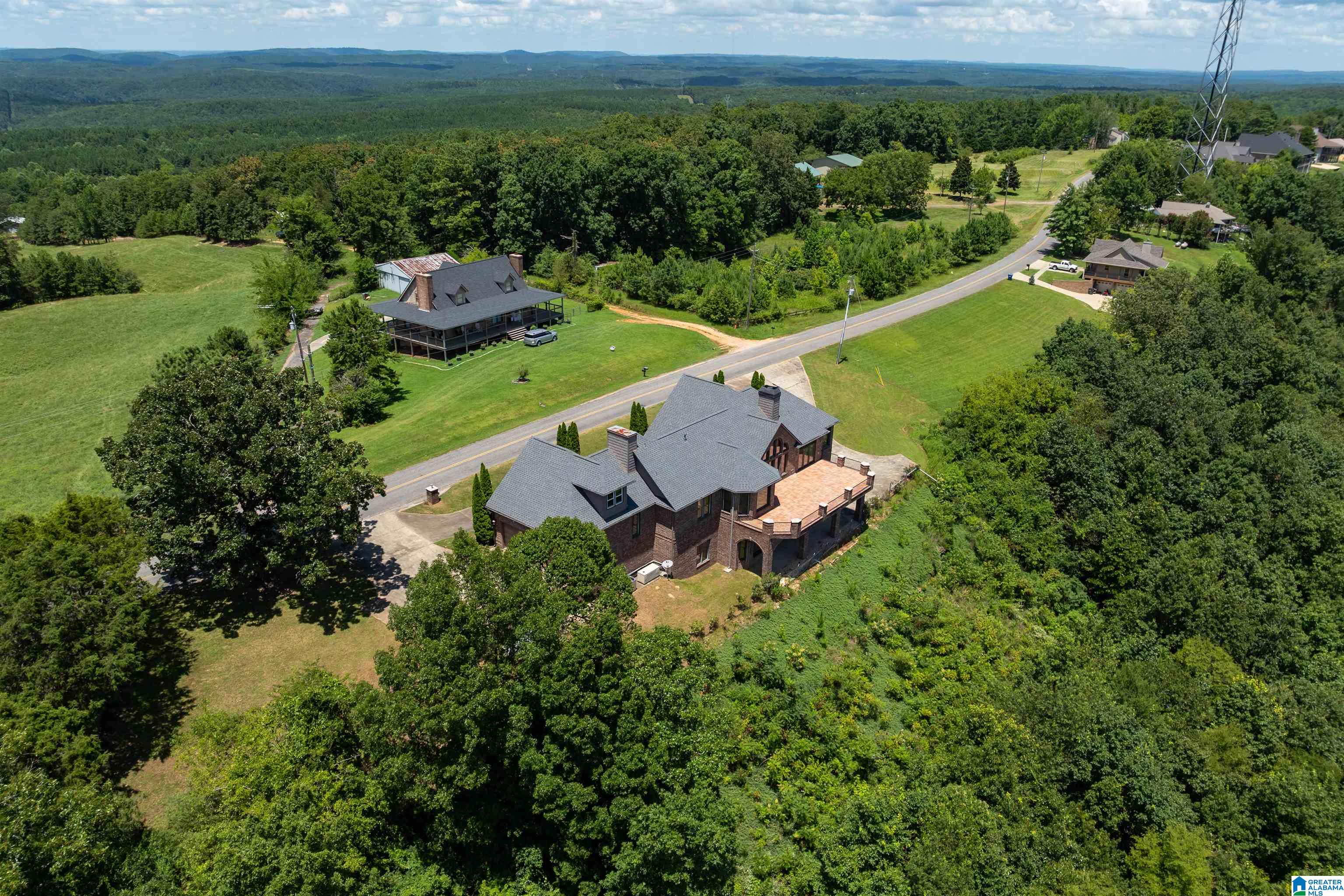 8378 Pine Mountain Road Springville, AL 35146 - Photo 52 of 59