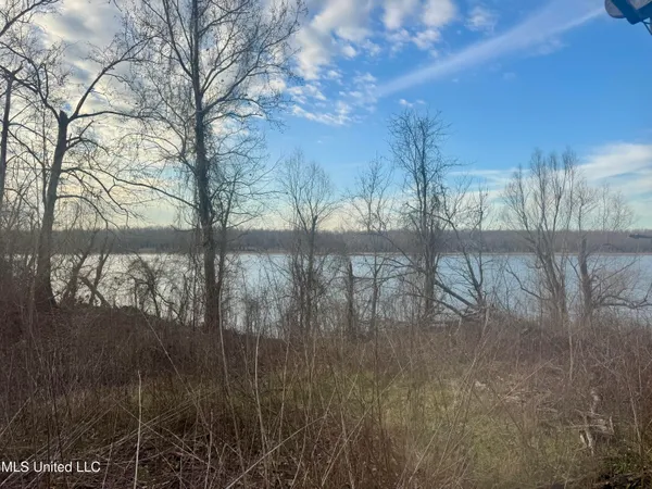 $5,000 | 75 Desoto Lake Road, Alligator, MS 38720